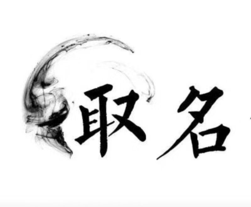  岷县宝宝取名 大师一对一人工起名